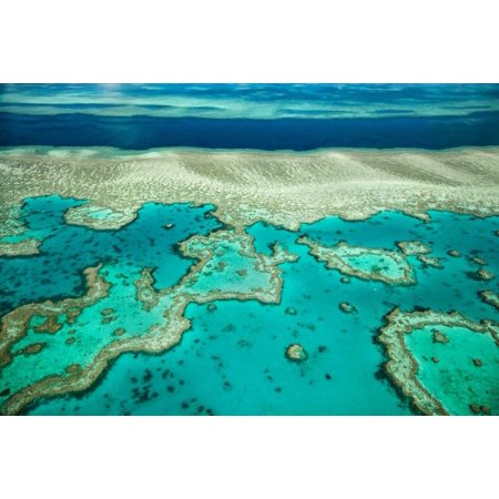 Coral River I Stretched Canvas - Larry Malvin (12 x 18)