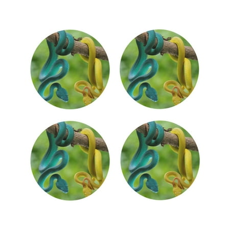 Honeii Blue Viper And Yellow Viper Snake Print Leather Coaster Set of 4 Ideal for Safeguarding Your Furniture from Drinks Spills and Effortless Cleanup-Round Shape
Honeii Blue Viper And Yellow Viper Snake Print Leather Coaster Set of 4 Ideal for Safeguarding Your Furniture from Drinks Spills and Effortless Cleanup-Round Shape