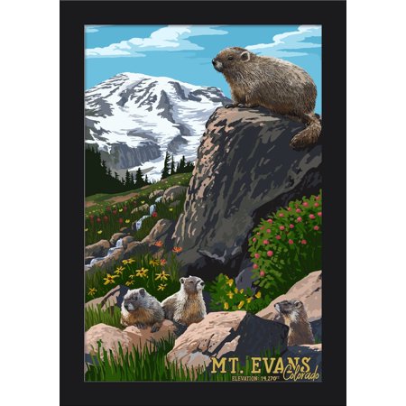 Mount Evans, Colorado - Marmots - Lantern Press Artwork (12x18 Giclee Art Print, Gallery Framed, Black Wood)