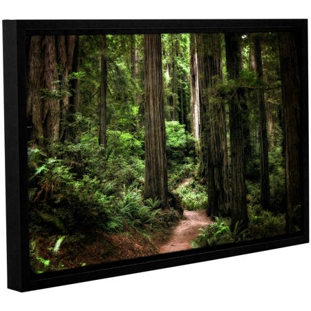 ArtWall Kevin Calkins "Enchanted Path" Gallery-Wrapped Floater-Framed Canvas