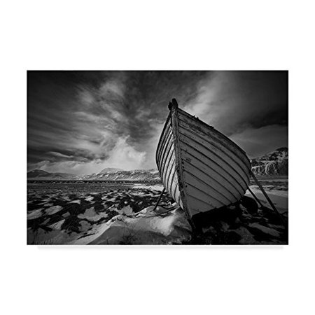 trademark fine art"bragi ingibergsson fine wall dcor art multicolor