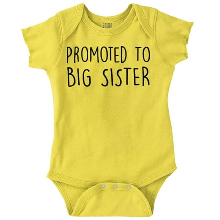 Promoted Big Sister Expecting Sibling Bodysuit Jumper Girls Infant Baby Brisco Brands 24M
Promoted Big Sister Expecting Sibling Bodysuit Jumper Girls Infant Baby Brisco Brands 24M