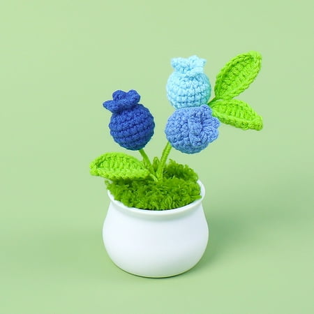Decoration Ornaments Crochet Simulation Flower Pot Finished Wool Flower Indoor Car Decoration Small Pot Holiday Gifts
Decoration Ornaments Crochet Simulation Flower Pot Finished Wool Flower Indoor Car Decoration Small Pot Holiday Gifts