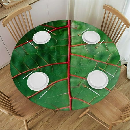 Patifu Leaves Round Table Cover Stain Resistant Washable Indoor Outdoor Tablecloth Kitchen Dining Wedding Parties 100% Polyester Waterproof Fabric 46 -50
Patifu Leaves Round Table Cover Stain Resistant Washable Indoor Outdoor Tablecloth Kitchen Dining Wedding Parties 100% Polyester Waterproof Fabric 46 -50