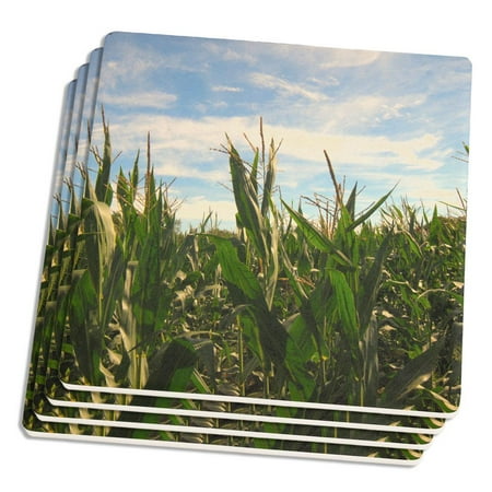Autumn Harvest Season Corn Fields Set of 4 Square Sandstone Coasters