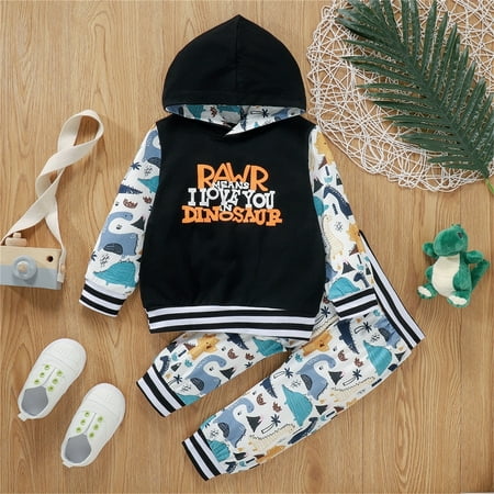 Hunpta Infant Outfits Hooded Dinosaur +Pants Boy Toddler Set Girls Baby Sweatshirt Boys Outfits&Set
Hunpta Infant Outfits Hooded Dinosaur +Pants Boy Toddler Set Girls Baby Sweatshirt Boys Outfits&Set