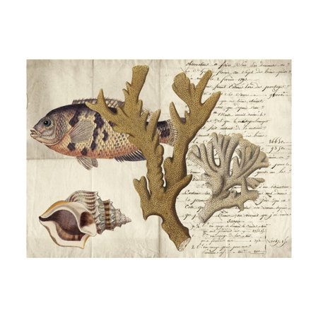 Sealife Journal I Print Wall Art By Vision Studio