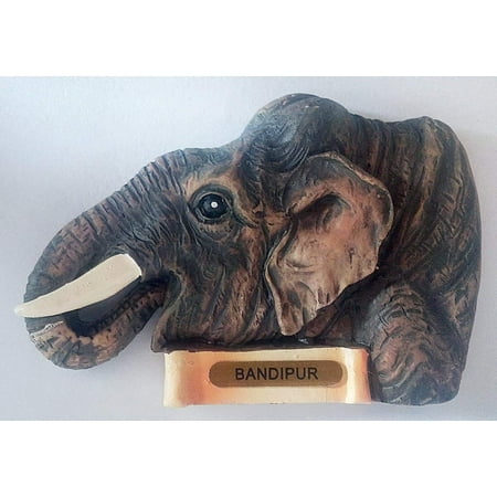 diollo Bandipur Feeding Elephant Refrigerator Magnets Home and Office