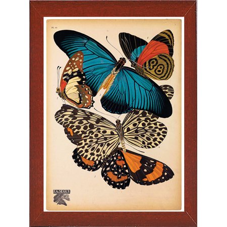 Butterflies Plate 2, E.A. Seguy-PRIPUB130826 Print 10"x7" by Print Collection in a Affordable Red Mahogany Medium