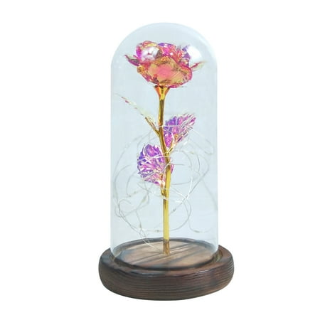 Bedroom Decor Fall Decorations For Home Wall Decor Romantic Immortal Flower Micro Landscape Rose Simulation Glass Shade Led Llight Pink
Bedroom Decor Fall Decorations For Home Wall Decor Romantic Immortal Flower Micro Landscape Rose Simulation Glass Shade Led Llight Pink