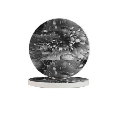 Circular Drink Coasters Set Abstract Texture Background Beautiful Home Decor Diatomite Heat-Resistant Diatomite Protect Table Countertop
Circular Drink Coasters Set Abstract Texture Background Beautiful Home Decor Diatomite Heat-Resistant Diatomite Protect Table Countertop