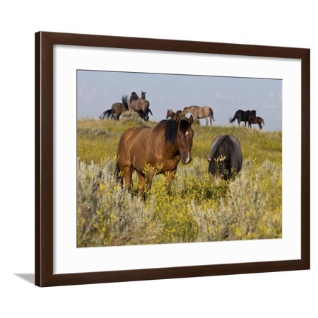 Horses Framed Print Wall Art By Gordon Semmens