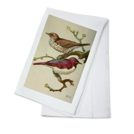 Birds The 1921 Avicultural Magazine Vintage Bookplate Adolphe Millot Artwork (100% Cotton Tea Towel Decorative Hand Towel Kitchen and Home)
Birds The 1921 Avicultural Magazine Vintage Bookplate Adolphe Millot Artwork (100% Cotton Tea Towel Decorative Hand Towel Kitchen and Home)