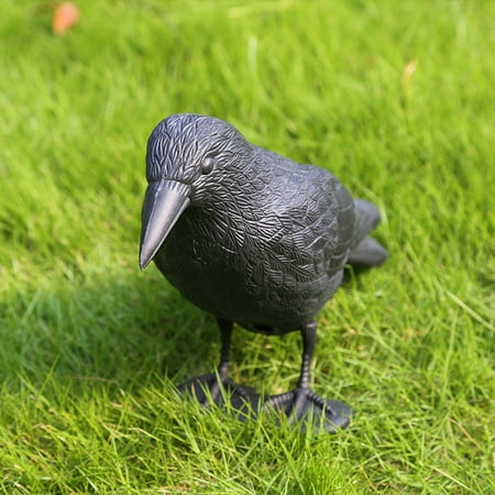 Sticky Sticks for Gnat Outdoor Sticky Cards for Decoration Scary Bird Crow Jewelry
Sticky Sticks for Gnat Outdoor Sticky Cards for Decoration Scary Bird Crow Jewelry
