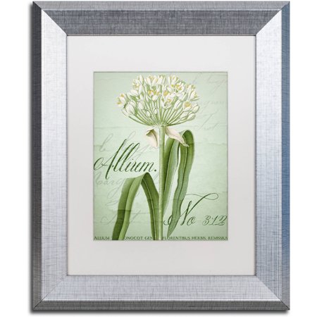 Trademark Fine Art "Allium I" Canvas Art by Color Bakery White Matte, Silver Frame