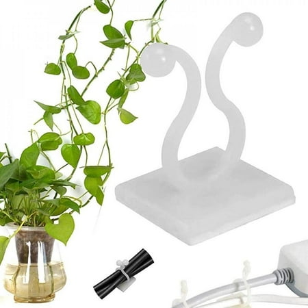 Spree 6 PCS Plant Support Clips Tomato Clips Garden Trellis Clips for Vine Beans Vegetables Fruits Rose. Tomato Twine Clips 1 Inch/25mm in Inside Diameter
Spree 6 PCS Plant Support Clips Tomato Clips Garden Trellis Clips for Vine Beans Vegetables Fruits Rose. Tomato Twine Clips 1 Inch/25mm in Inside Diameter
