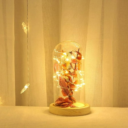 FYCONE Valentine s Day Leaf and LED Light Glass Cover Night Light Gift Home Decorations
FYCONE Valentine s Day Leaf and LED Light Glass Cover Night Light Gift Home Decorations