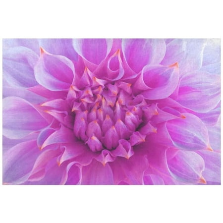 ECZJNT Bright Pink Dahlia Flower Placemat Plate Holder Set of 6 Macro Nature Floral Table Mats Protector 12x18 inch
ECZJNT Bright Pink Dahlia Flower Placemat Plate Holder Set of 6 Macro Nature Floral Table Mats Protector 12x18 inch