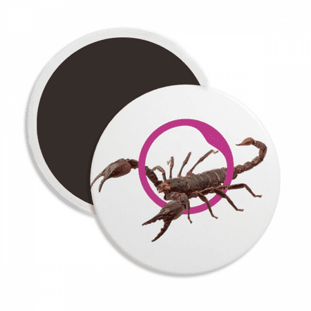 Scorpion Natural Insect Litation Round Ceracs Fridge Magnet Keepsake Decoration