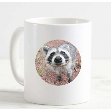 Coffee Mug Friendly Raccoon Pub White Coffee Mug Funny Gifts Cup
Coffee Mug Friendly Raccoon Pub White Coffee Mug Funny Gifts Cup