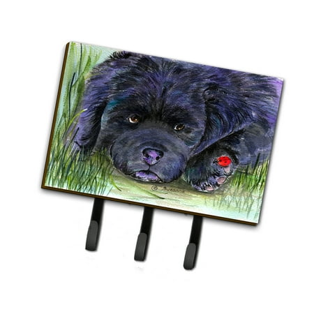 Carolines Treasures SS8272TH68 Newfoundland Leash or Key Holder Triple multicolor
Carolines Treasures SS8272TH68 Newfoundland Leash or Key Holder Triple multicolor