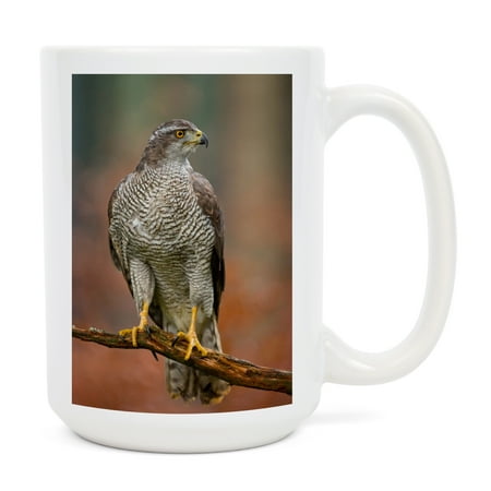 15 fl oz Ceramic Mug Northern Goshawk Dishwasher & Microwave Safe