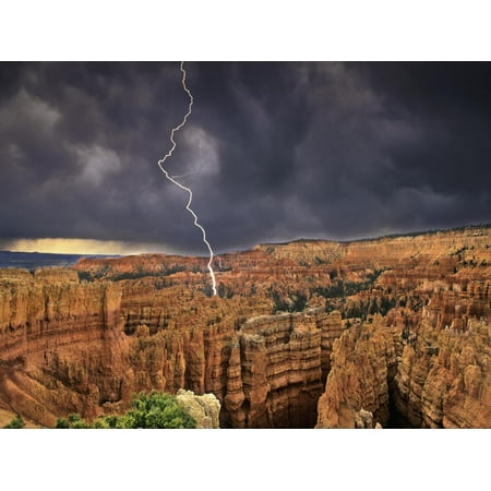 Bryce Canyon National Park, Utah, USA Print Wall Art By Dave Welling