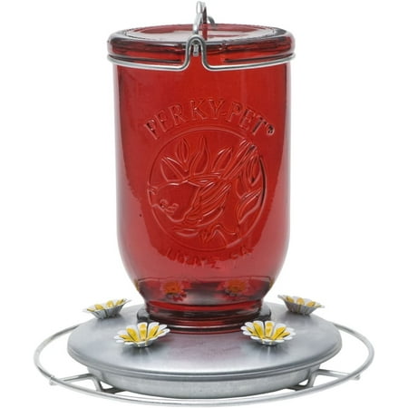 Perky-Pet 786 Hummbrd Mason Jar Rd