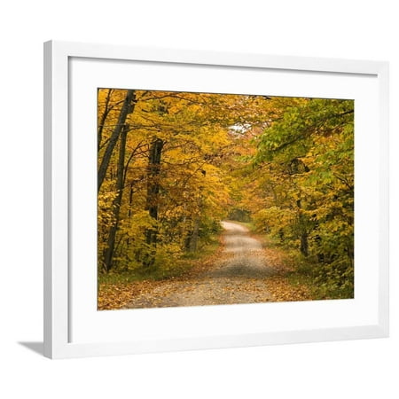 Mt. Greylock Reservation, Massachusetts, USA Framed Print Wall Art By Demetrio Carrasco