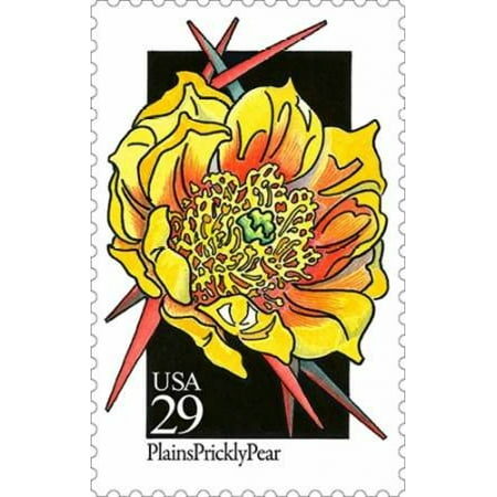 Plains Prickly Pear Canvas Art - US POSTAL SERVICE (12 x 18) Plains Prickly Pear Canvas Art - US POSTAL SERVICE (12 x 18)