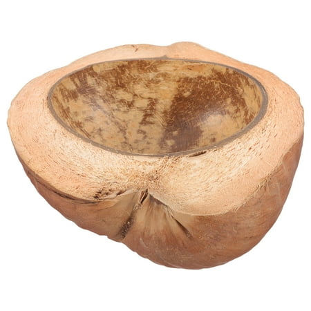 PATKAW Cokernut Shell Bowl Natural Coconuts Bowl Dessert Serving Bowl Fruit Holder Coconuts Bowl
PATKAW Cokernut Shell Bowl Natural Coconuts Bowl Dessert Serving Bowl Fruit Holder Coconuts Bowl