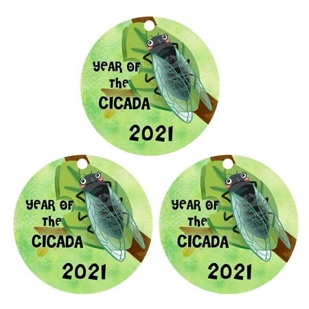New Year New You 2022 Tuscom 2021 Graduation Season Christmas Family Pendant Greeting Decorative Tree Hanging Christmas Decorations on Clearance
New Year New You 2022 Tuscom 2021 Graduation Season Christmas Family Pendant Greeting Decorative Tree Hanging Christmas Decorations on Clearance