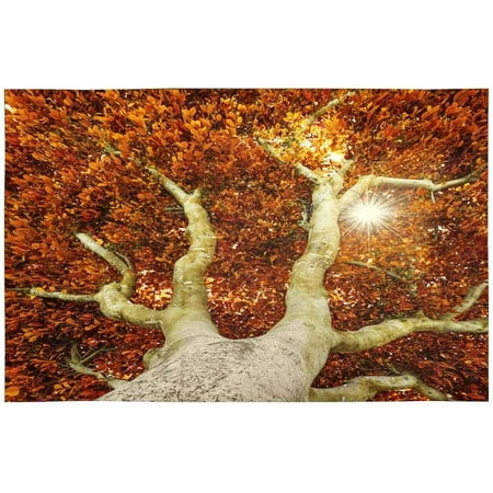 ECZJNT Autumn Tree Leaves Placemat Plate Holder Set of 4 Table Mats Protector 12x18 inch
ECZJNT Autumn Tree Leaves Placemat Plate Holder Set of 4 Table Mats Protector 12x18 inch