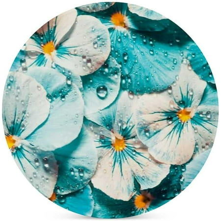BESTKITTY Coaster for Drinks Cork Ceramic Coasters Cup Mat Waterproof Place Mats Pansy Flowers Turquoise Office Kitchen Coaster Coffee Mug for Table 4 PCS
BESTKITTY Coaster for Drinks Cork Ceramic Coasters Cup Mat Waterproof Place Mats Pansy Flowers Turquoise Office Kitchen Coaster Coffee Mug for Table 4 PCS