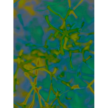 Confetti IV Poster Print by Popcorn Popcorn (18 x 24)