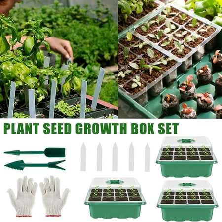 Mittory 3 Piece Indoor Greenhouse Propagation Box Mini Greenhouse Propagation Set
Mittory 3 Piece Indoor Greenhouse Propagation Box Mini Greenhouse Propagation Set