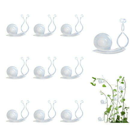 okwish 10pcs Seamless Household Buckle Supporting Pp Material Gardening Gadgets Climbing Indoor Vine Plant Wall Hook Fixing Clip
okwish 10pcs Seamless Household Buckle Supporting Pp Material Gardening Gadgets Climbing Indoor Vine Plant Wall Hook Fixing Clip