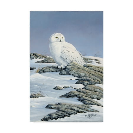 Trademark Fine Art 'Snowy Owl' Canvas Art by Wilhelm Goebel