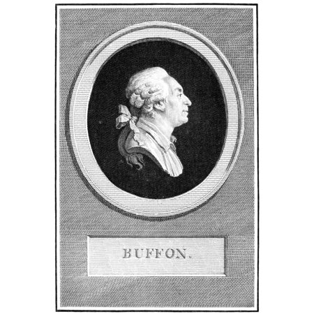 Georges Louis De Buffon N(1707-1788) French Naturalist Copper Engraving French Late 18Th Century Rolled Canvas Art - (24 x 36)