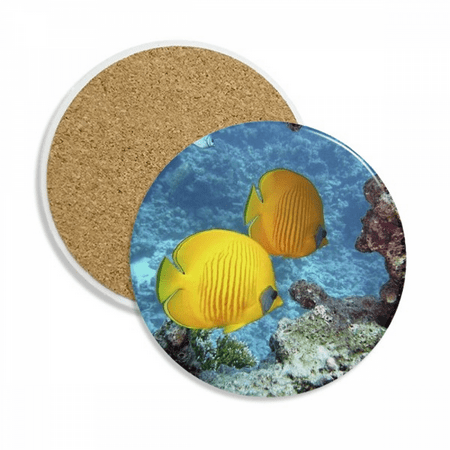 Ocean Water Fish Nature Picture Coaster Cup Mug Tabletop Protection Absorbent Stone
Ocean Water Fish Nature Picture Coaster Cup Mug Tabletop Protection Absorbent Stone
