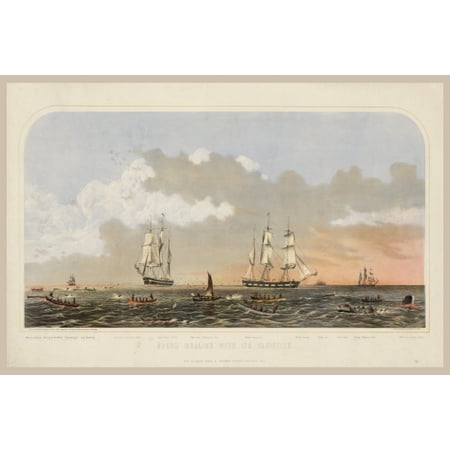 Print: Sperm Whaling With Its Varieties
Print: Sperm Whaling With Its Varieties