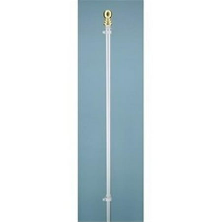 Annin Flagmakers 1989 6 ft. 2 Piece Silver Spinning Flagpole with Ball