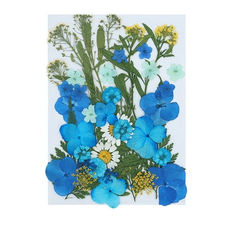 RKSTN Real Dried Presse Flowers Leaves Natural Set with Butterfly Stickers Kitchen Gadgets Kitchen Organization Lightning Deals of Today - Summer Savings Clearance on Clearance
RKSTN Real Dried Presse Flowers Leaves Natural Set with Butterfly Stickers Kitchen Gadgets Kitchen Organization Lightning Deals of Today - Summer Savings Clearance on Clearance