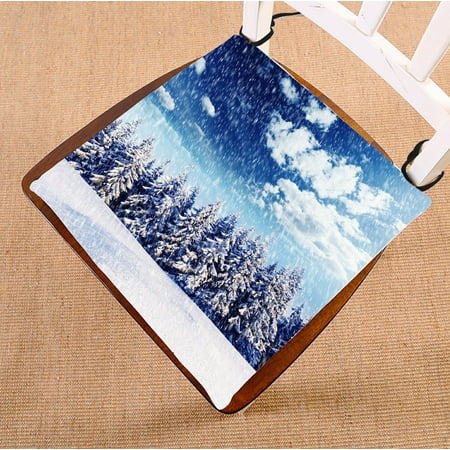 PHFZK Winter Scene Chair Pad Beautiful Winter Landscape with Snowy Trees Seat Cushion Chair Cushion Floor Cushion Two Sides Size 16x16 inches
PHFZK Winter Scene Chair Pad Beautiful Winter Landscape with Snowy Trees Seat Cushion Chair Cushion Floor Cushion Two Sides Size 16x16 inches