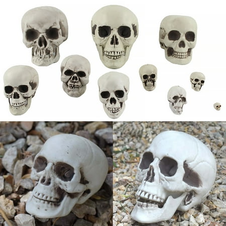 Deyuer Skull Ornament Creative Delicate Realistic Human Skull Statue Head Bone Model for Party