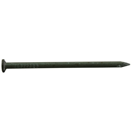 Pro-Fit 16D 3-1/2 in. Common Bright Steel Nail Flat 25 lb.