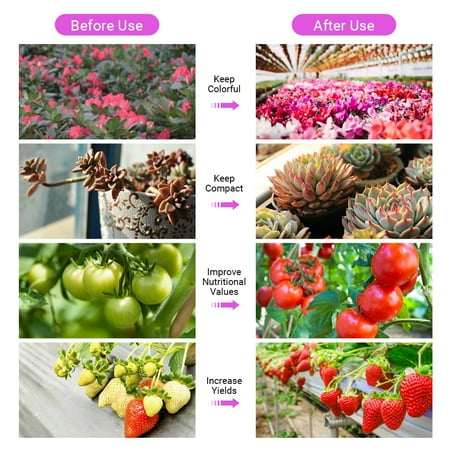 Zerodis 120W LED Plant Grow Light Full Spectrum Double Switchs Plant Light For Indoor Plants Veg And Flower EU 100‑240VAC LED Plant Grow Light LED Plant Light
Zerodis 120W LED Plant Grow Light Full Spectrum Double Switchs Plant Light For Indoor Plants Veg And Flower EU 100‑240VAC LED Plant Grow Light LED Plant Light