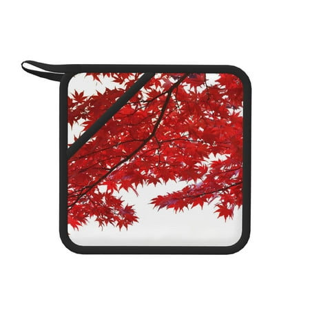 Matuu Red Maple Leaf for Square Silicone Anti-hot Pad for Kitchen Potholders Hot Dishers Spoon Holder
Matuu Red Maple Leaf for Square Silicone Anti-hot Pad for Kitchen Potholders Hot Dishers Spoon Holder