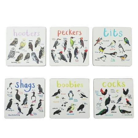 Set Of 6 Bird Pun Coasters Fun Pun Coasters Wooden Set Of 6