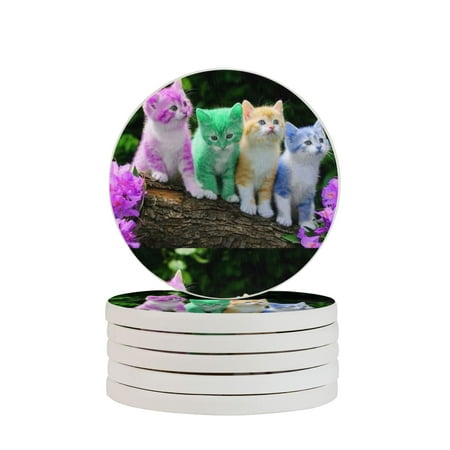 Circular Drink Coasters Set Cool Cat Wallpaper Beautiful Home Decor Diatomite Heat-Resistant Diatomite Protect Table Countertop
Circular Drink Coasters Set Cool Cat Wallpaper Beautiful Home Decor Diatomite Heat-Resistant Diatomite Protect Table Countertop